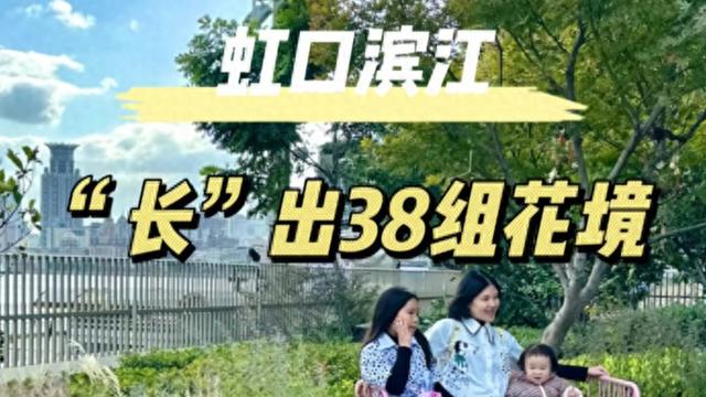 虹口滨江“长”出38组花境，水岸焕新颜，快去打卡吧~