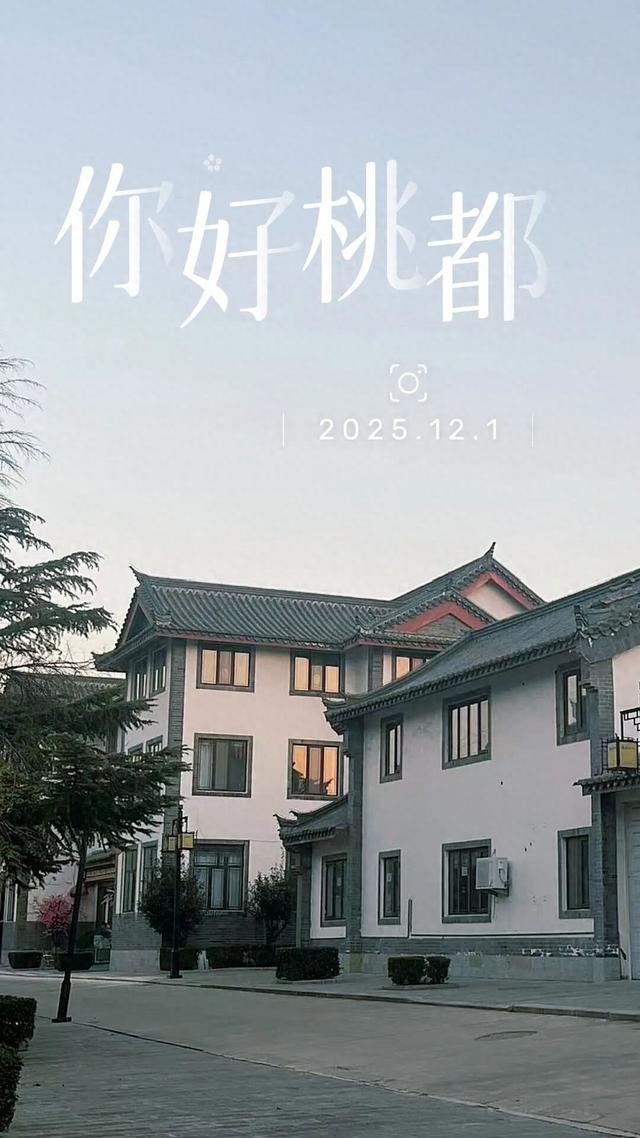 你好，桃都！『2025.12.1』