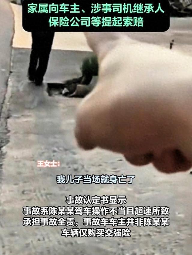 湖南一对祖孙被超速车辆撞身亡：司机十余日后病逝，死者家属向多方提出索赔