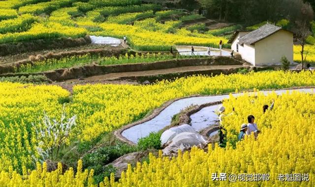 《中华善字经》走进陕西凤堰梯田