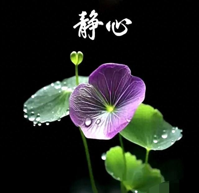 八段锦的“终极秘诀”曝光	，你知道几个？