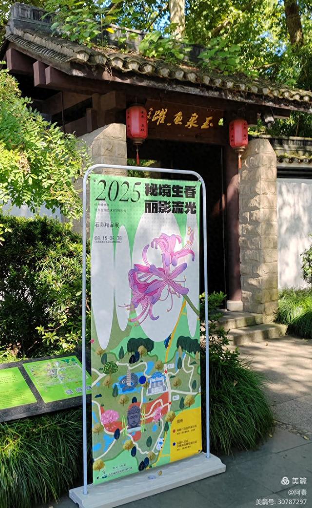 游西湖：杭州植物园之石蒜花展