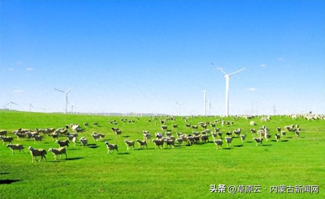 评论｜黄花沟立行立改 旅游业正在清醒中成长