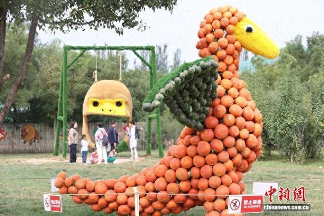宁夏鸣翠湖巧打“南瓜牌”假期营造湿地新体验