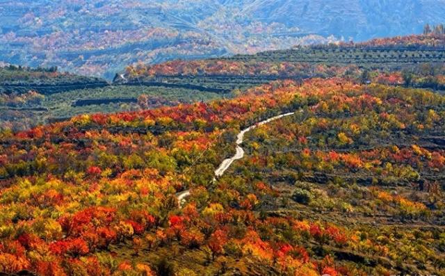 【白银文旅】冬已至秋渐远，再赏一波靖远的秋