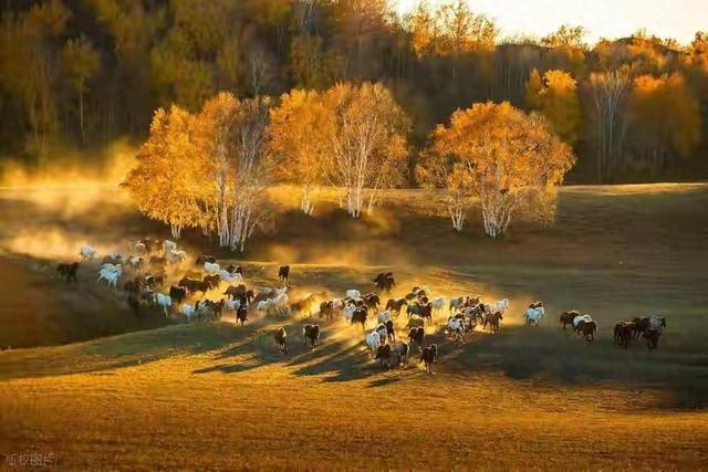 终于免费了！武当山门票0元，这份保姆级游玩指南必看