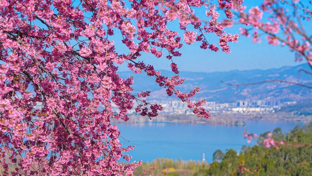 春假“出逃计划”！出发去西昌见春天