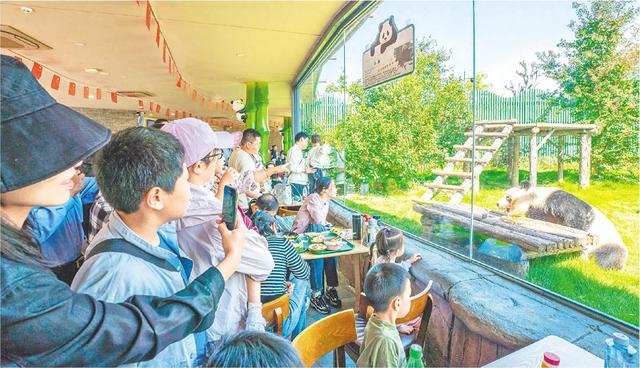 齐河持续释放文旅消费乘数效应