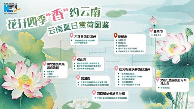 花开四季 “香”约云南|云南夏日赏荷图鉴
