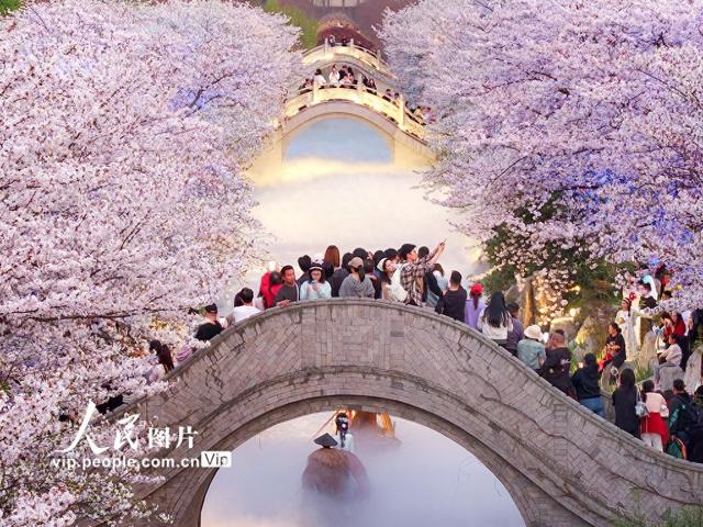 江苏南通：梦幻岛夜色美