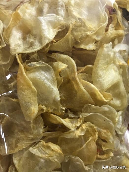 鸡蛋胶是什么鱼胶有什么营养 2025年鸡蛋胶是什么鱼的鱼胶