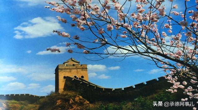 金山岭长城第十四届杏花节4月5日启幕