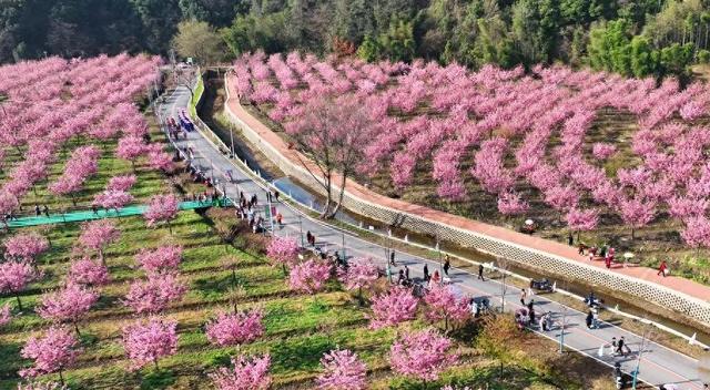 岳阳这条路美出了名！