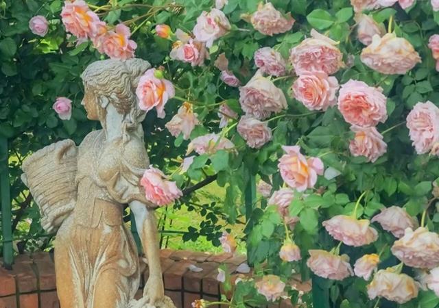 散文优美句子摘抄有什么(优美散文段落摘抄)