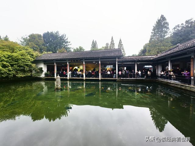 杭州植物园的菊花展——一场关于菊花的饕餮盛宴（二）