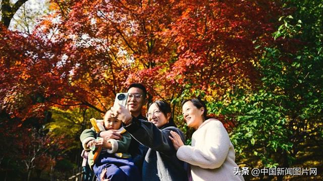 香山红叶节圆满落幕 接待游客超过85万人次