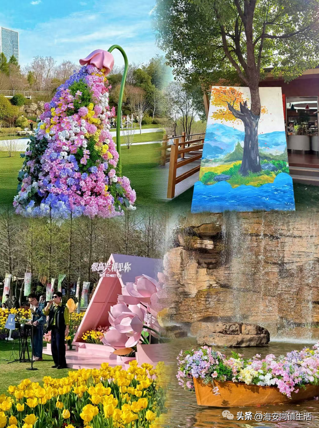 南通一网红小岛彻底火了！