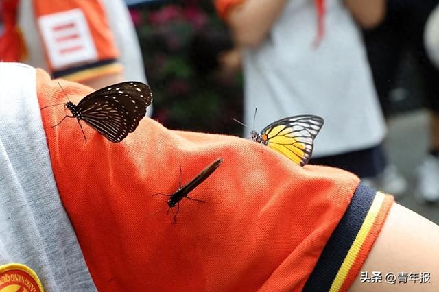 国庆去哪玩？上海多家公园新展新节日将开启