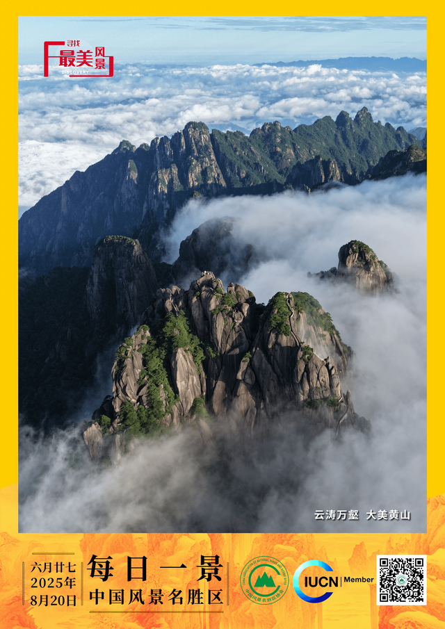 每日一景 | 云涛万壑  大美黄山