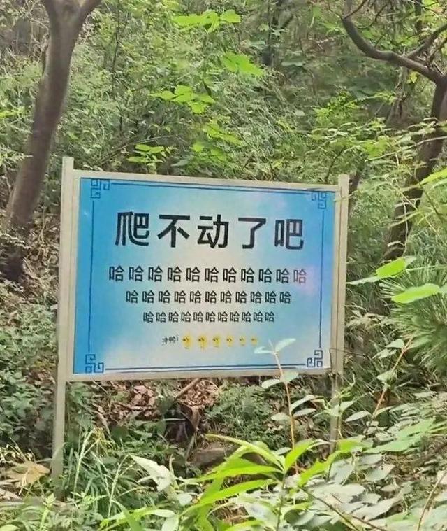 多地游客爬山遇到魔性“加油”牌：“爬不动了吧，哈哈哈哈哈”