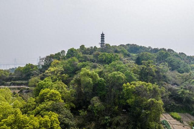 太和文峰：从刘伯温到新八景 守望文脉六百年