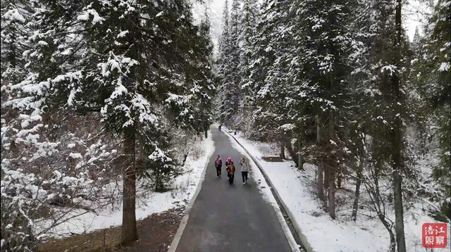 “引客入绵”奖励政策发布