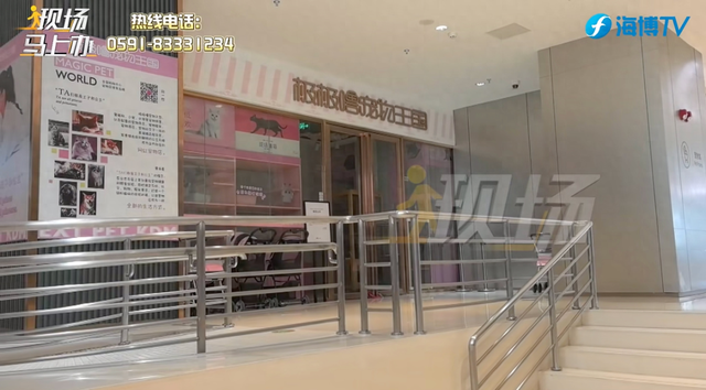 宠物王国游戏破解版（宠物店连夜关门）