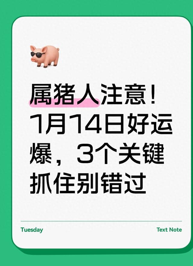 属猪人注意！1月14日好运爆，3个关键抓住别错过
