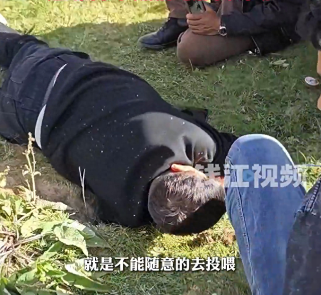 游客在川西自驾游车钥匙被土拨鼠偷走，当地回应：确有此事！