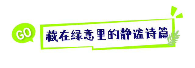 武汉蔡甸藏着一幅“生态画卷”：嵩阳山的秘密，你知道多少？