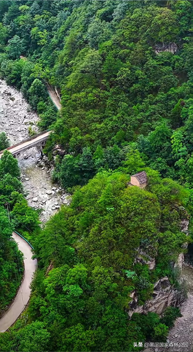 小满遇阴雨，云赏黑河国家森林公园，静赏山间烟雨盛景