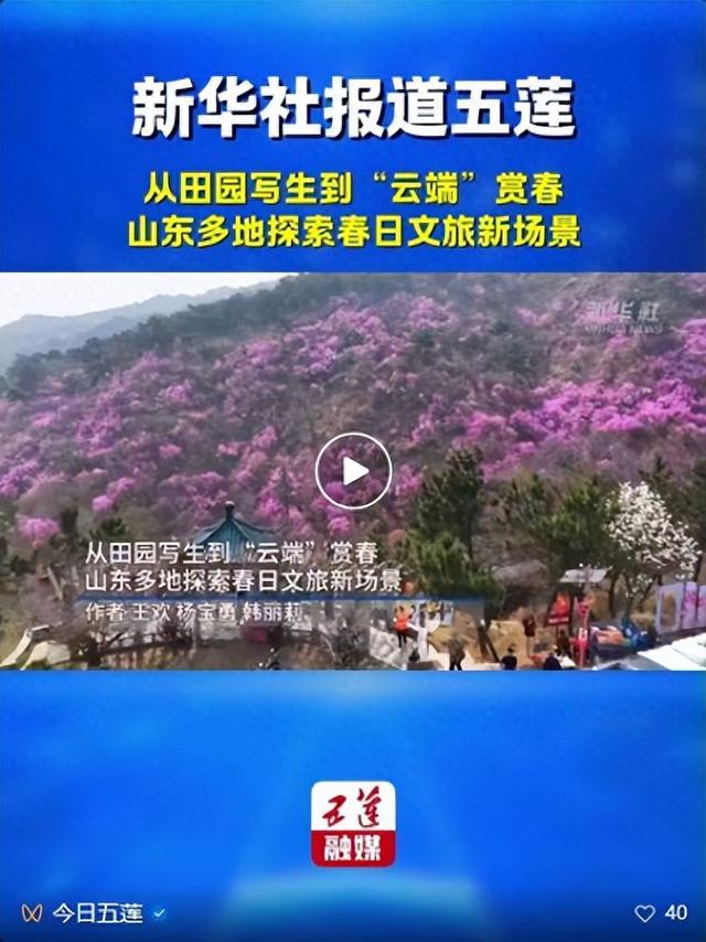 藏不住啦！五莲“兰槿”花火爆全网！