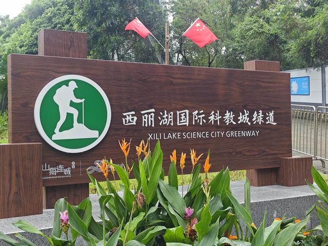 西丽湖国际科教城绿道高清随拍