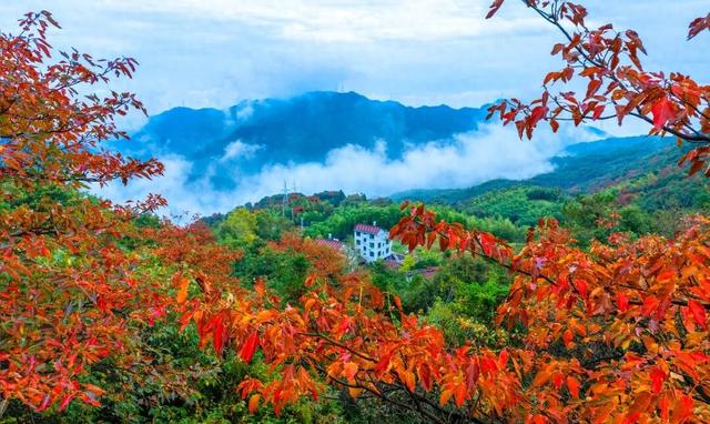 “反季节浪漫”！永康冬季限定版“城市漫游地图”上线