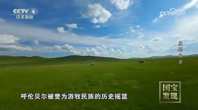 呼伦贝尔再登央视！