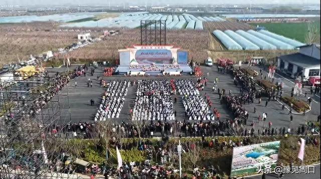 周口叫板洛阳开封，单日82万人抢旗，这大旗真能扛得住？