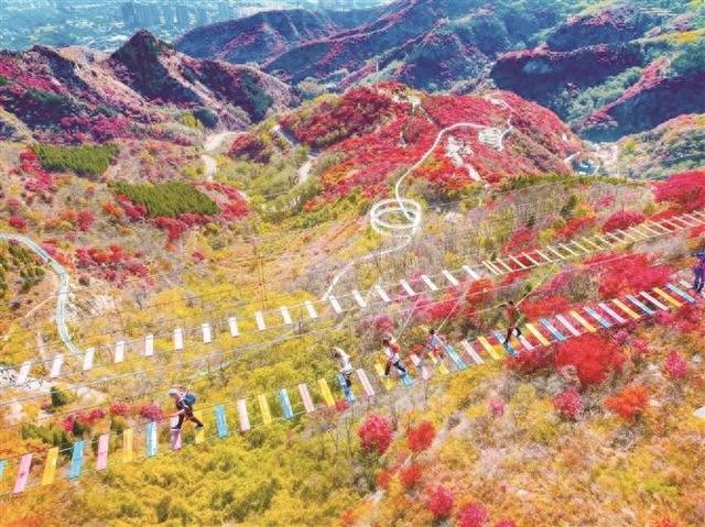 淄博文旅融合新活力