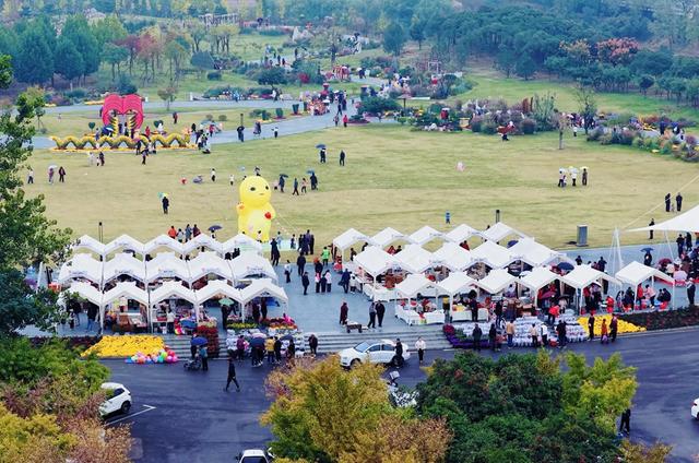 河湾公园金秋赏花太火爆！这份避堵攻略请收好