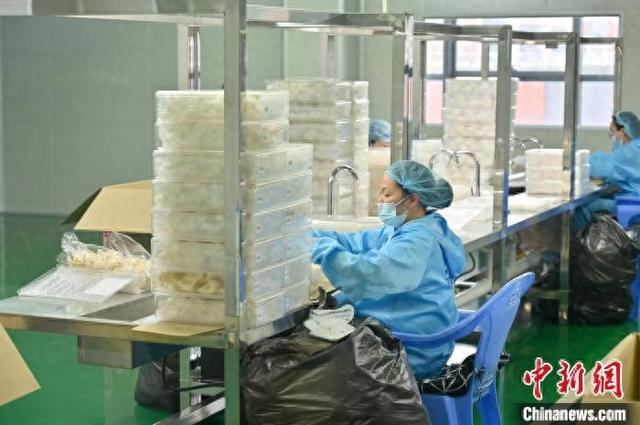 马来西亚正规燕窝33家工厂 2026年马来西亚正规燕窝33家工厂有哪些