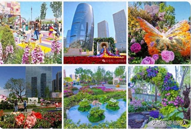 北京花展爆火！35万人挤爆CBD花海