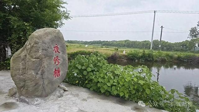 乡土桐城 | 夜修塘游记：一塘月光，照见桐城人的千年心气