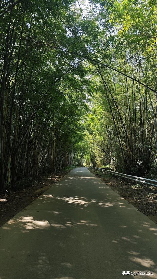 周末遛娃:增城正果亲水之旅