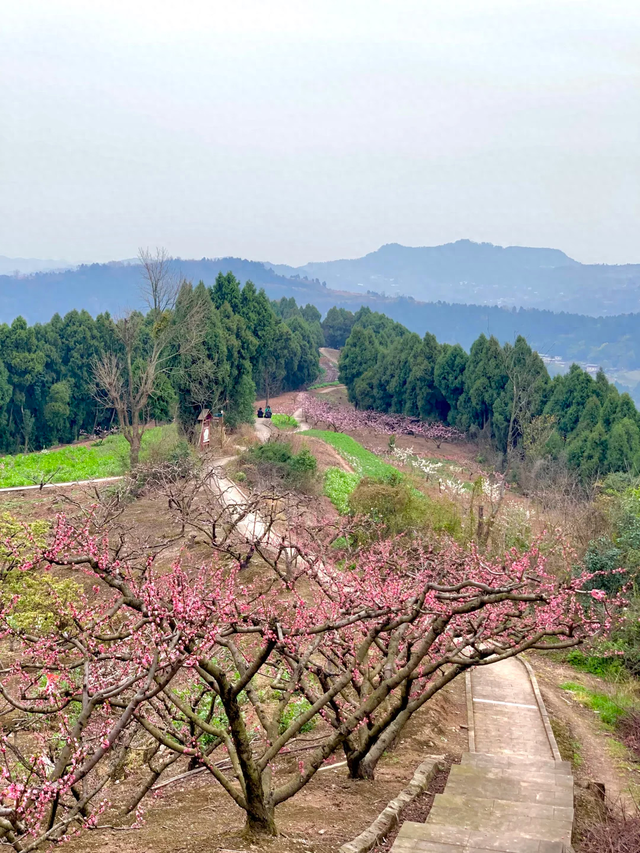 又挖到了一个宝藏地！人少景美不累人，真的很适合全家出游！