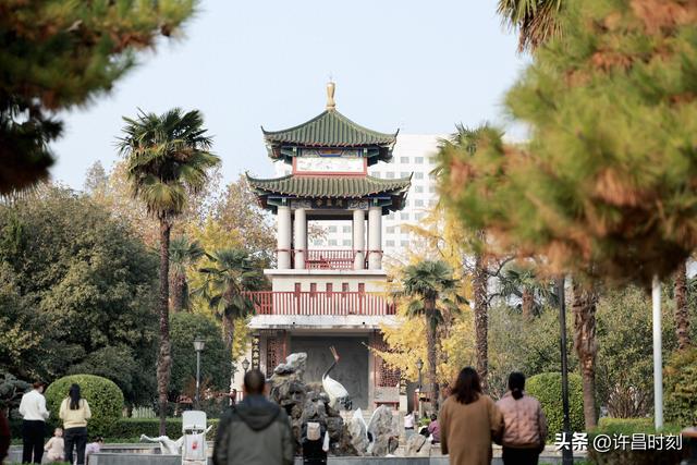 西湖公园：冬日暖阳里的惬意时光