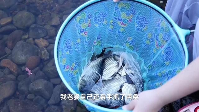 新华视点｜夏日经济“热”力四射 多元业态绘就乡村振兴新图景