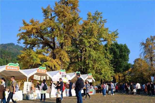 火爆！富阳这个村，超美超好逛！今明两天，招募！