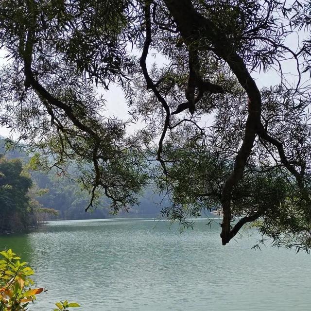 独生子女补贴金到账啦