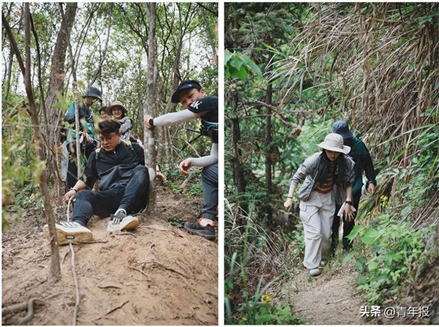 警惕！网上热推的“浙版哀牢山”竟是未开发的野山？