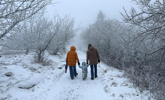 （外代一线）德国法兰克福：雪落山林