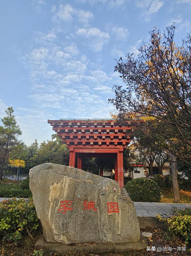 初冬时刻，李戒园的银杏叶，黄透了天，黄透了地，天地和谐共生!